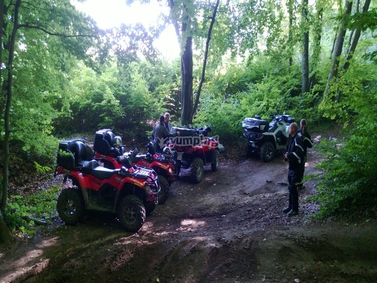 Pause quad dans la foret picarde Pause quad dans la foret picarde